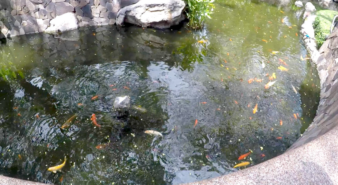 Screen Shot 2018-04-25 at 22.09.56.png