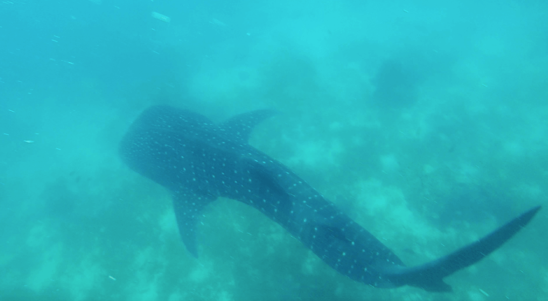 Screen Shot 2018-04-25 at 22.49.48.png