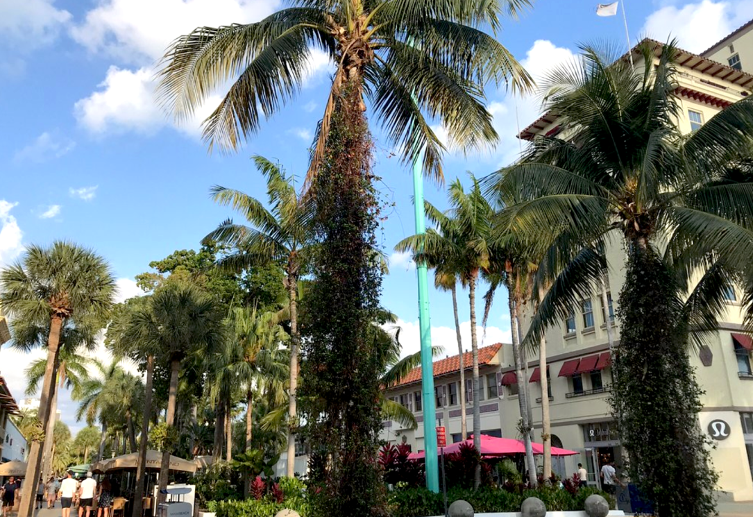 Screen Shot 2019-06-18 at 12.51.11.png